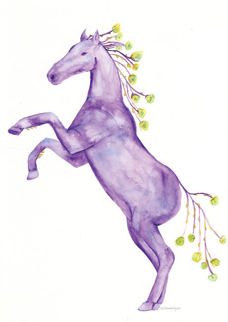 Rose Horse Rose Horse