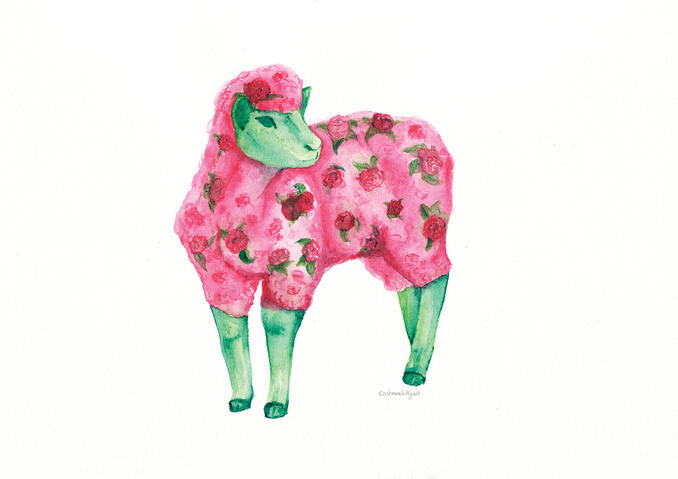Rosebud Sheep Rosebud Sheep