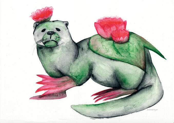 Waterlily Otter Waterlily Otter