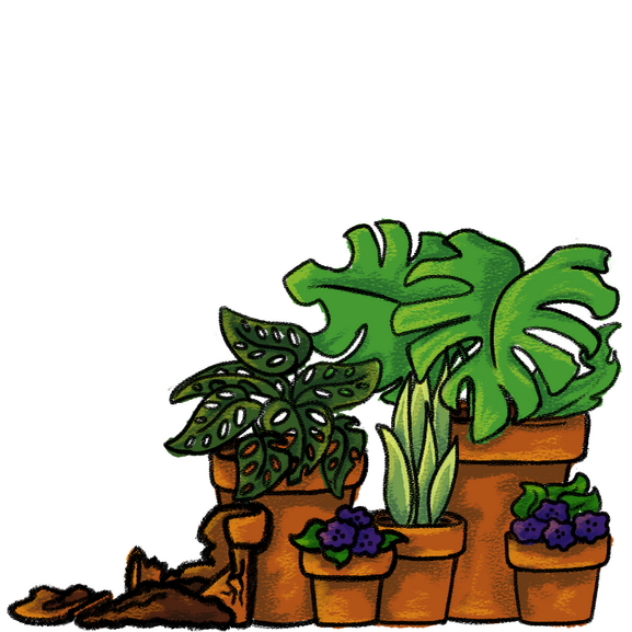 Past Flowerpots