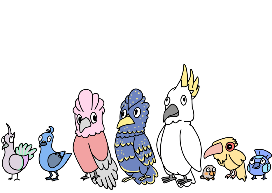 PIgeons, Cockatoos, Finch, Cuckoo, Fairy Wren