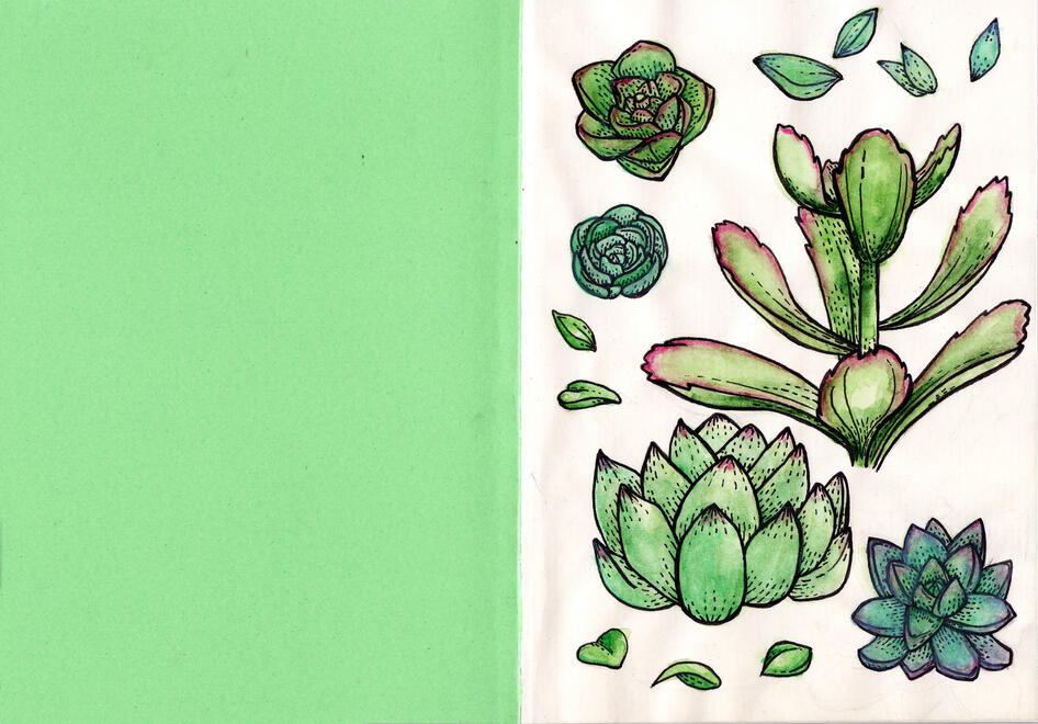 Succulents
