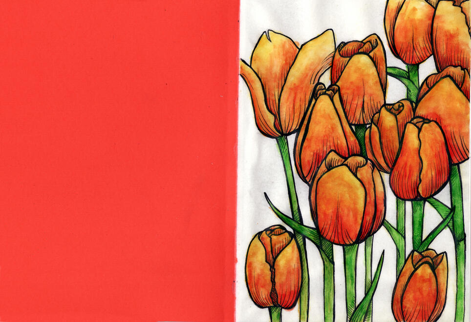 Tulips