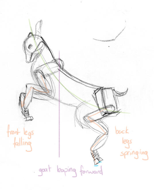 Animal Form & Pose Construction