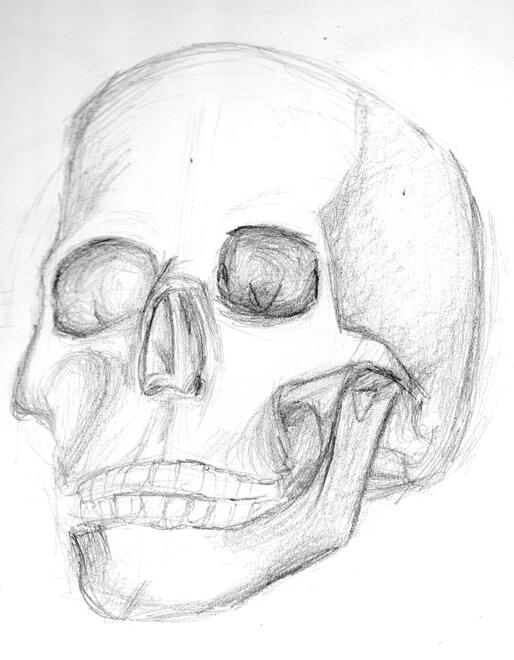 Observational Drawing