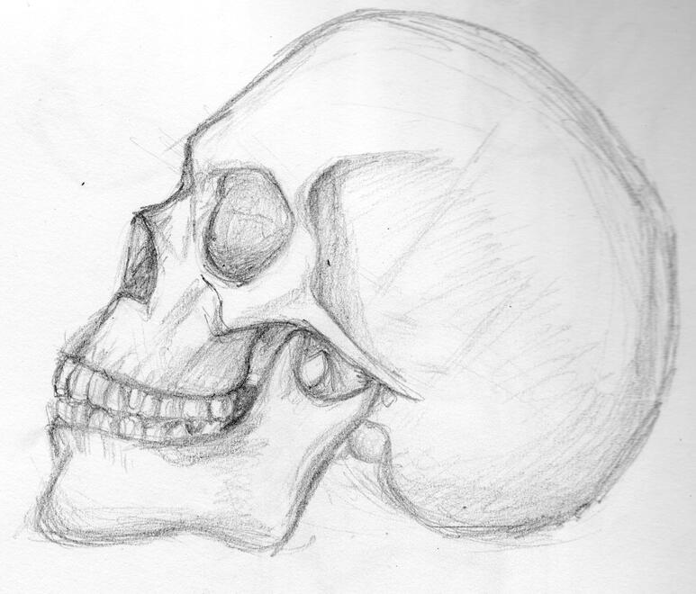 Observational Drawing