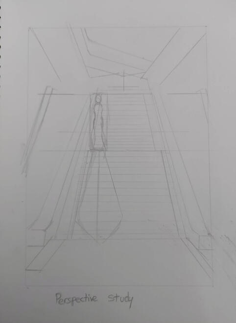 Perspective Study