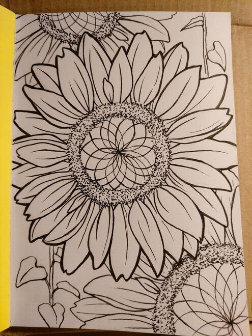Sunflower Drawing