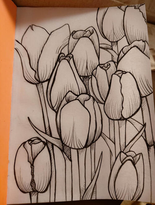 Tullips Drawing