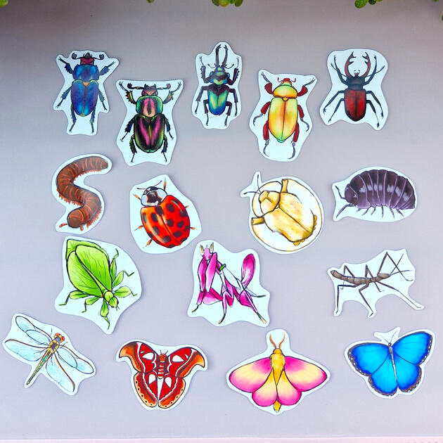 Bug Stickers Bug Stickers